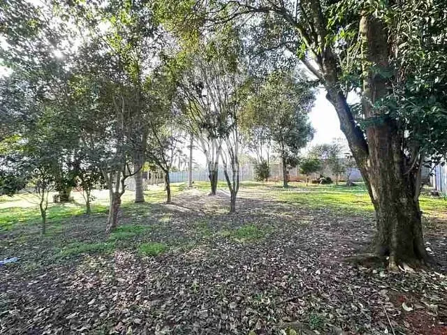 Terreno com 2000m², à venda, no bairro Colônia Dona Luíza em Ponta Grossa