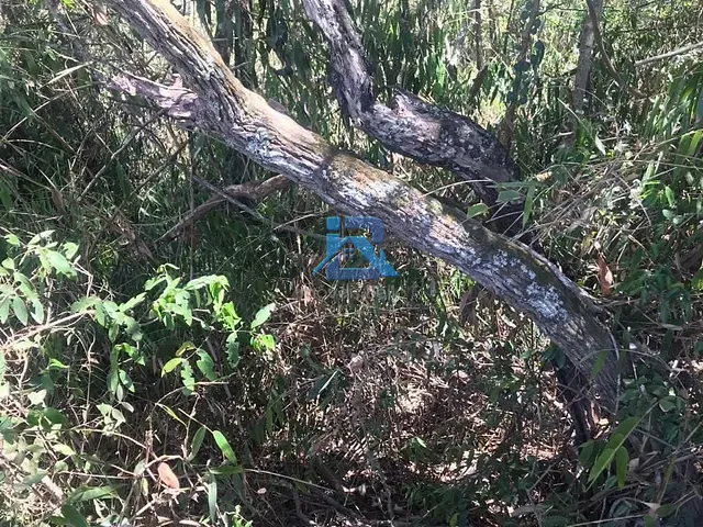 Terreno com 3540m², à venda, no bairro Chácara San Martin I em Itatiba