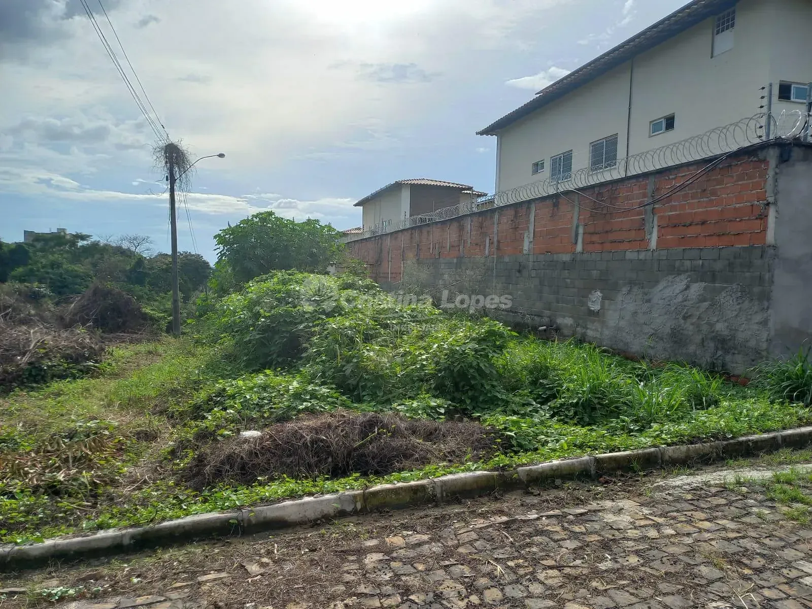 Terreno, 5000 m² - Foto 1