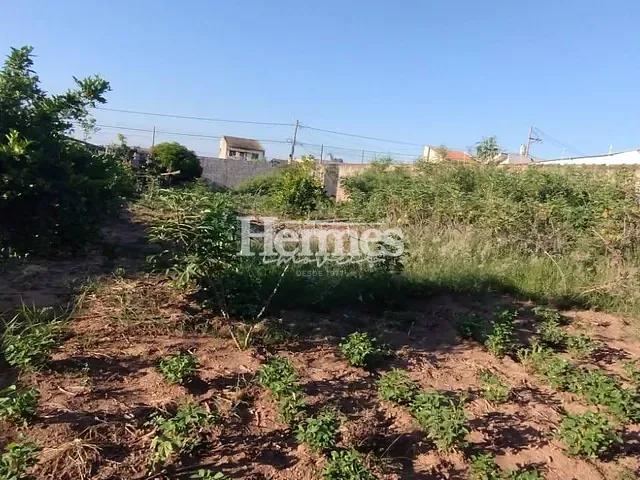 Terreno com 1000m², para alugar, no bairro Parque Bom Retiro em Paulínia