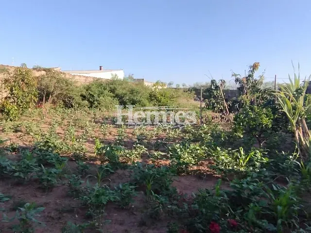 Terreno com 1000m², para alugar, no bairro Parque Bom Retiro em Paulínia