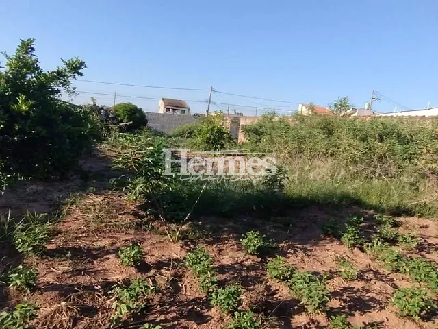 Terreno com 1000m², para alugar, no bairro Parque Bom Retiro em Paulínia