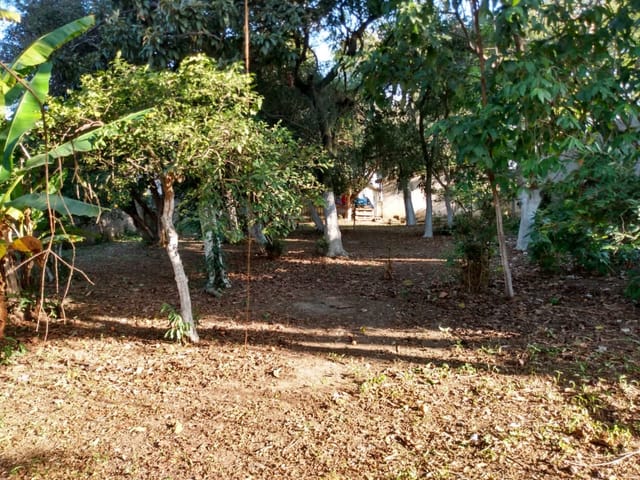 Terreno com 1270m², à venda, no bairro Alto do Tabaú em Pindamonhangaba