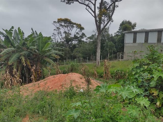 Terreno com 153m², à venda, no bairro Pununduva em Cotia
