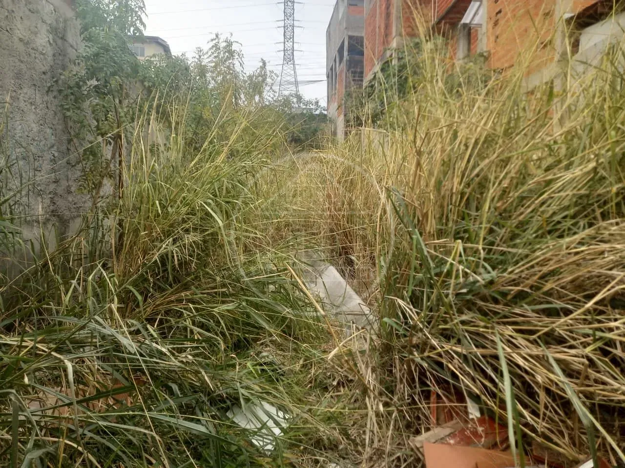 Terreno, 235 m² - Foto 6