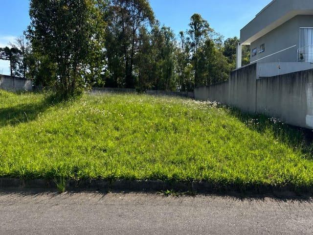 Terreno com 312m², à venda, no bairro Jardim Carvalho em Ponta Grossa