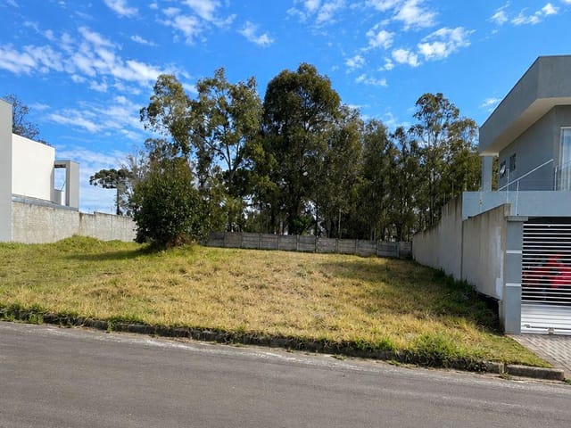 Terreno com 312m², à venda, no bairro Jardim Carvalho em Ponta Grossa
