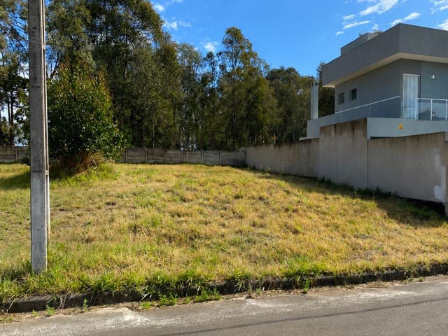 Terreno com 312m², à venda, no bairro Jardim Carvalho em Ponta Grossa