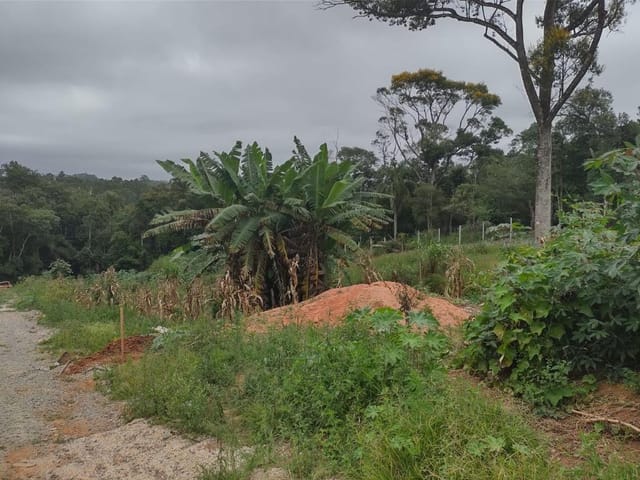 Terreno com 153m², à venda, no bairro Pununduva em Cotia