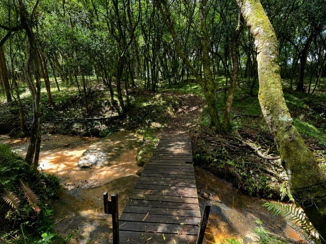 Terreno com 850m², à venda, no bairro Guaragi em Ponta Grossa