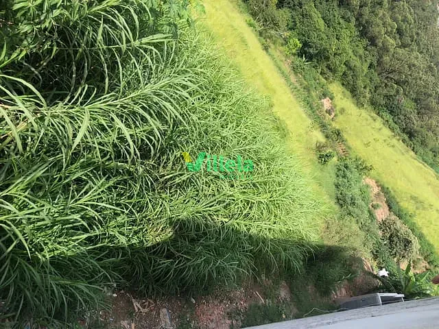 Terreno com 1828m², à venda, no bairro Jardim Dulce em Poá