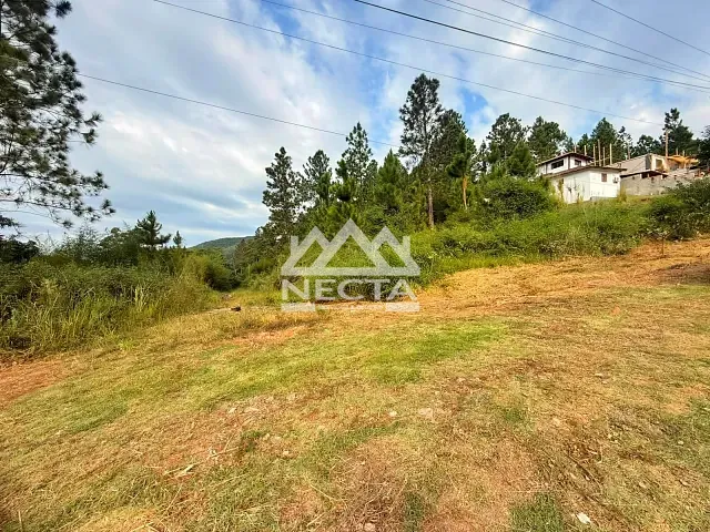 Terreno com 432m², à venda, no bairro Portal da Fazendinha em Caraguatatuba