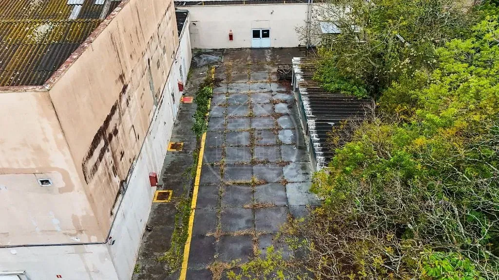 Terreno, 10000 m² - Foto 4
