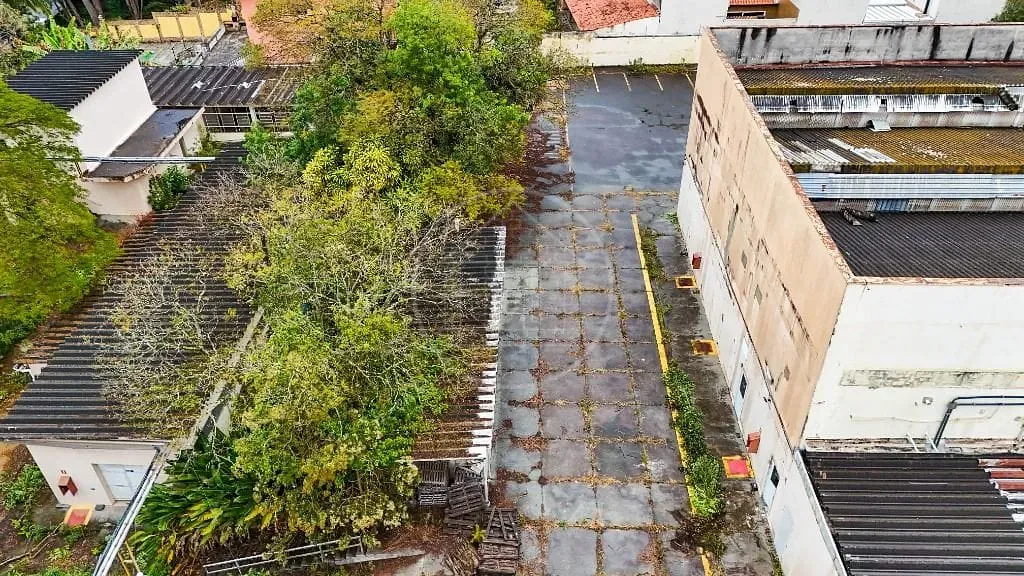 Terreno, 10000 m² - Foto 10