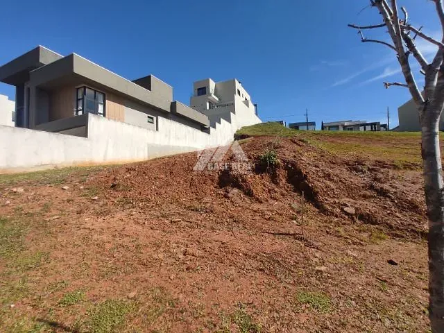 Terreno com 301m², à venda, no bairro Colônia Dona Luíza em Ponta Grossa