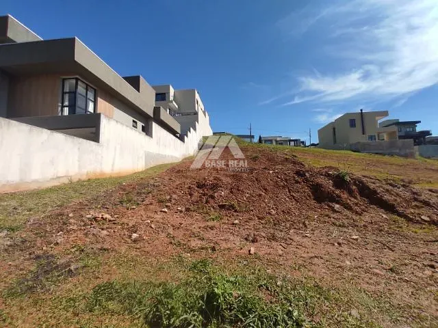 Terreno com 301m², à venda, no bairro Colônia Dona Luíza em Ponta Grossa