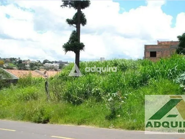 Terreno com 823m², à venda, no bairro Estrela em Ponta Grossa