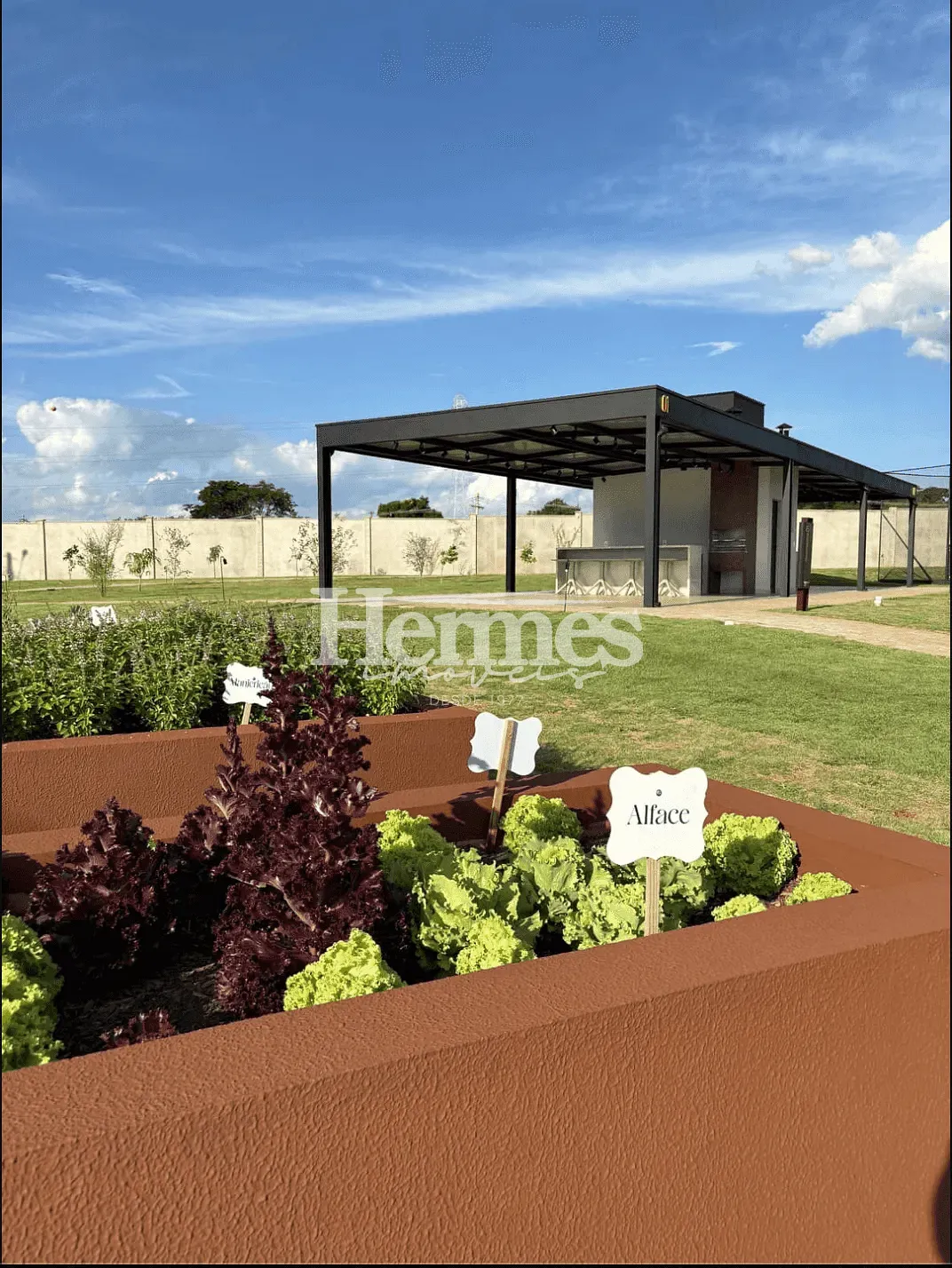 Terreno, 250 m² - Foto 11
