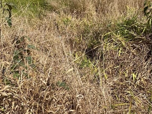 Terreno com 310m², à venda, no bairro Recanto do Sol em Extrema