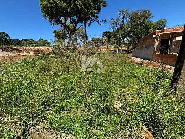 Terreno com 300m², à venda, no bairro Santa Cruz em Guarapuava