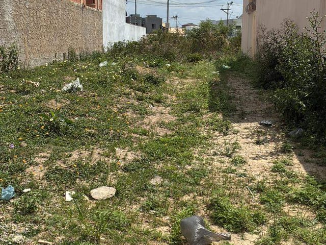 Terreno com 140m², à venda, no bairro AlphaGreen em Campos dos Goytacazes