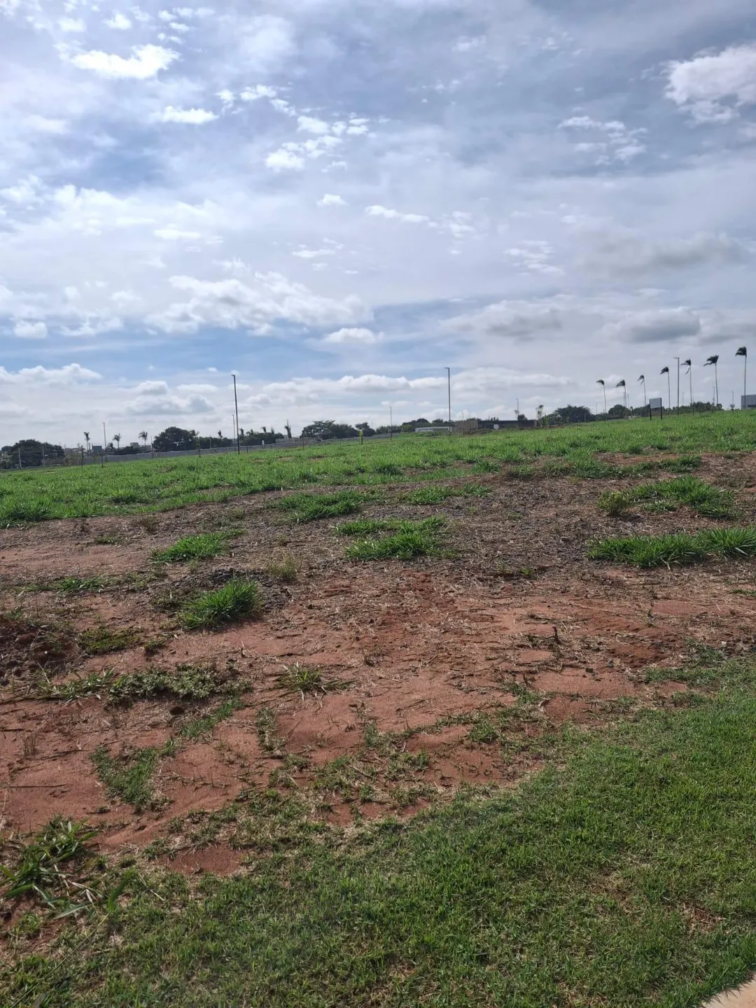 Terreno, 250 m² - Foto 4