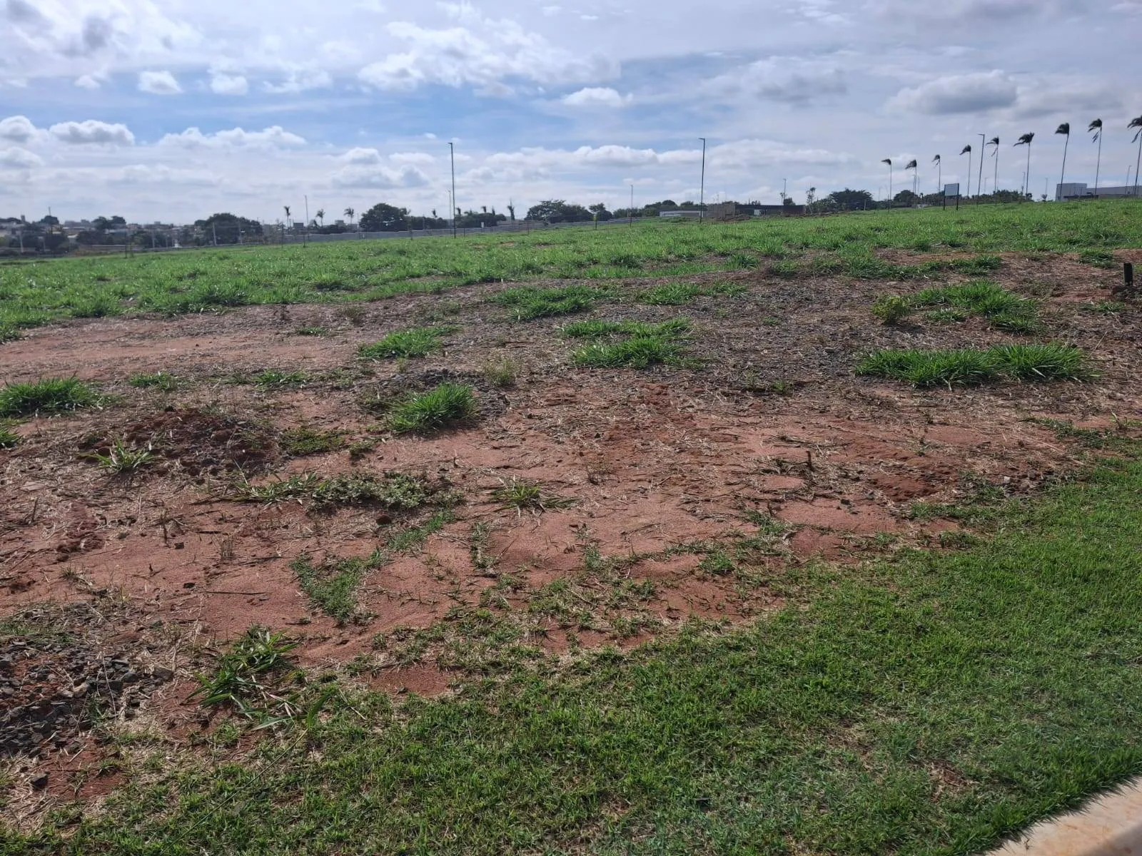 Terreno, 250 m² - Foto 2