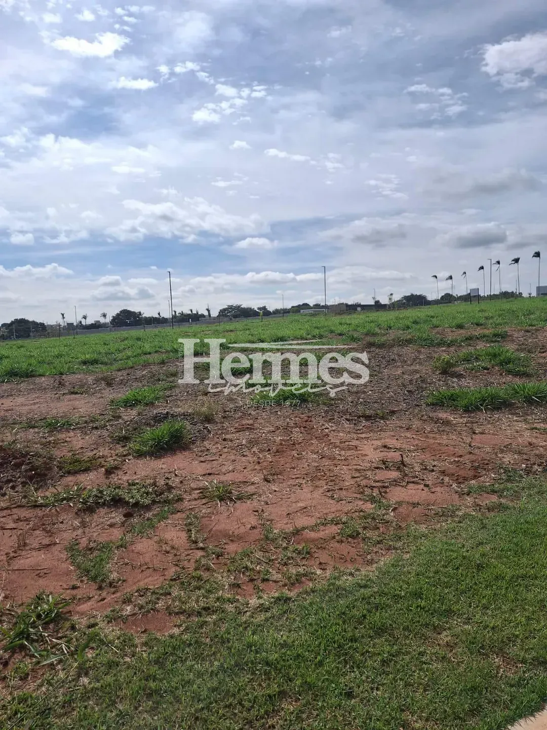Terreno, 250 m² - Foto 4