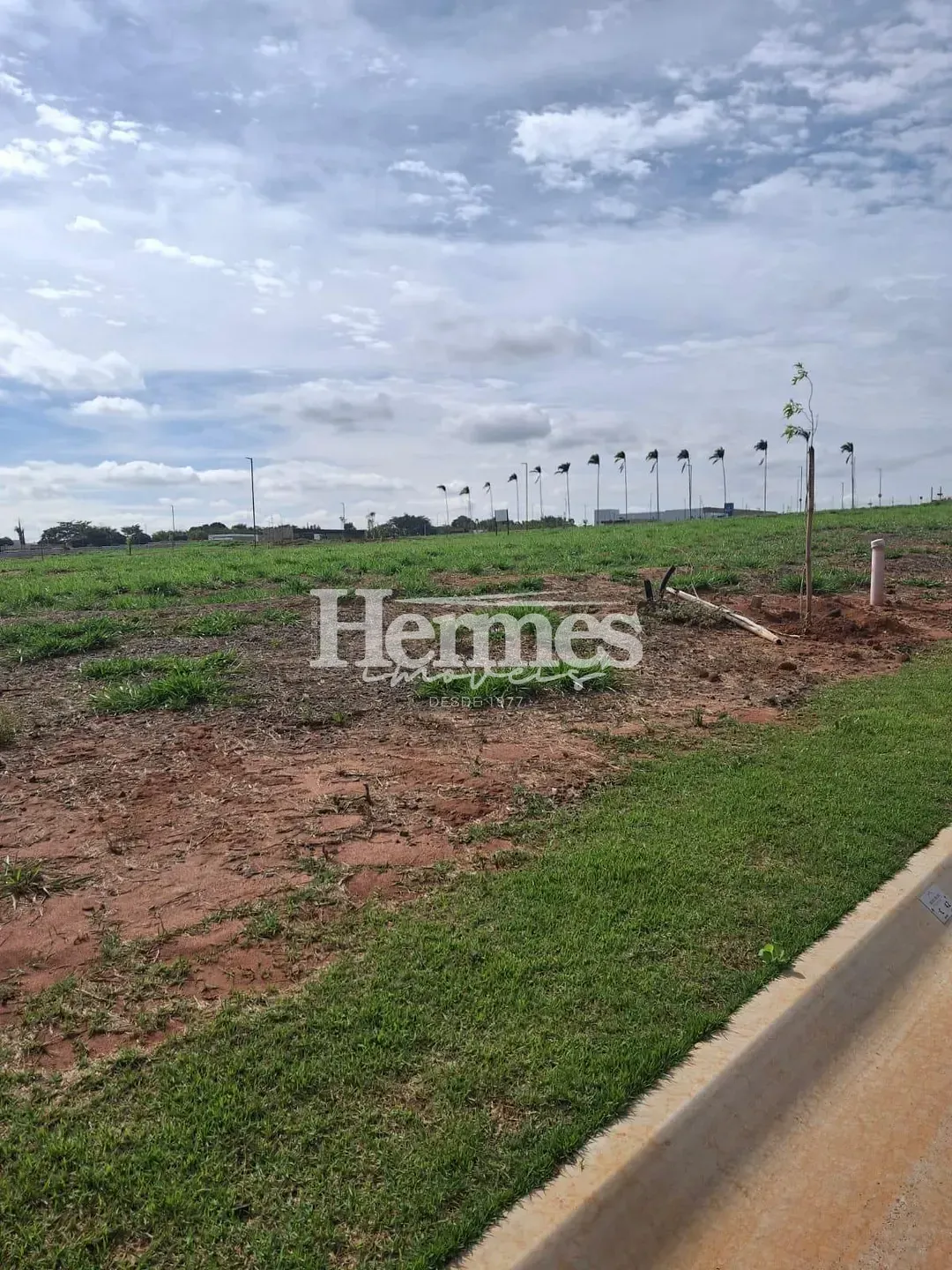Terreno, 250 m² - Foto 5