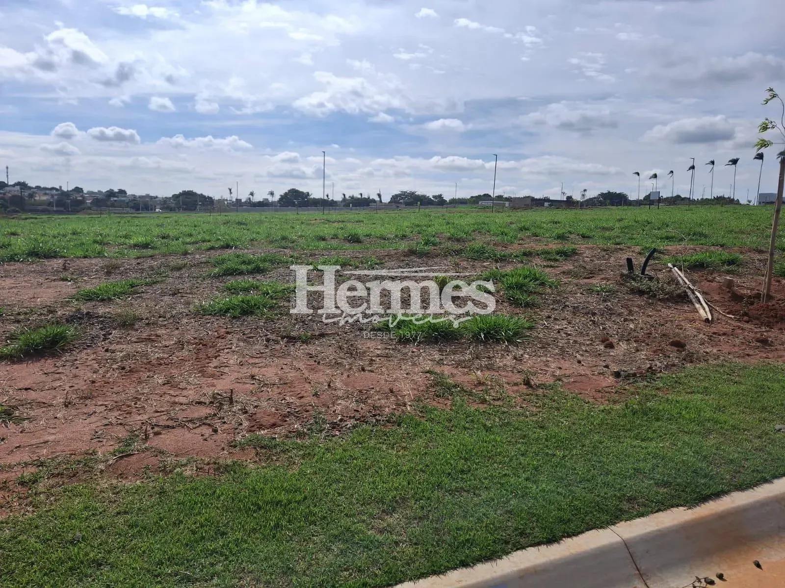 Terreno, 250 m² - Foto 3