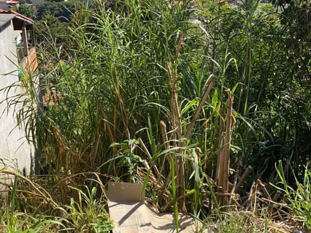 Terreno com 250m², à venda, no bairro Vila Rica em Extrema