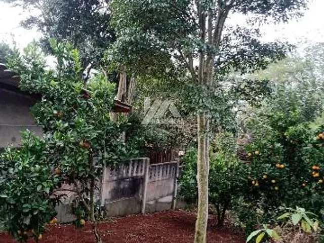 Terreno com 616m², à venda, no bairro Colônia Dona Luíza em Ponta Grossa