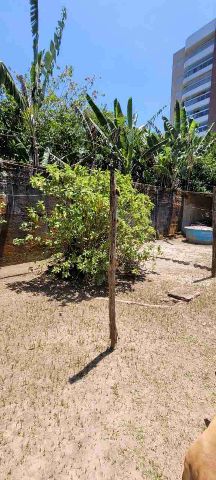 Terreno com 500m², à venda, no bairro São Lourenço em Bertioga