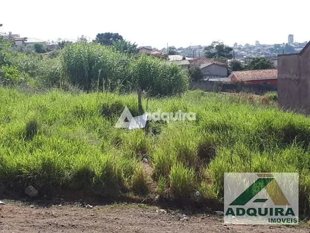 Terreno com 624m², à venda, no bairro Contorno em Ponta Grossa
