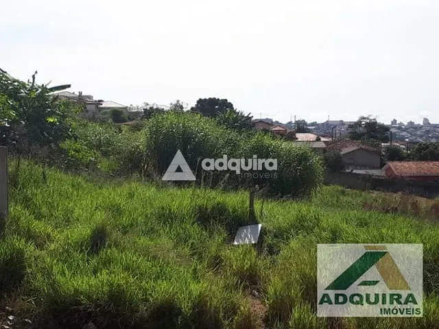 Terreno com 624m², à venda, no bairro Contorno em Ponta Grossa