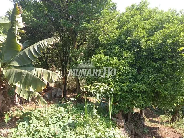 Terreno com 346m², à venda, no bairro Catarina Fontana em Concórdia