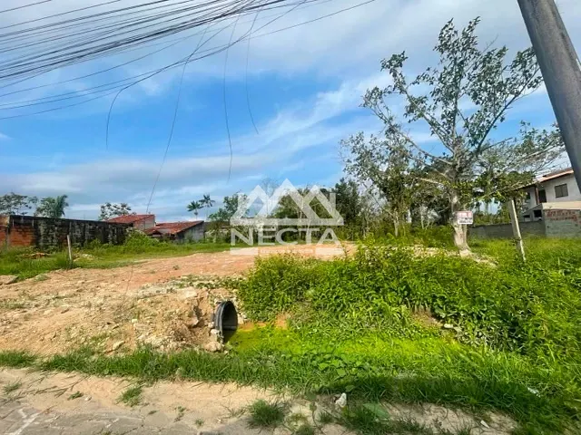 Terreno com 245m², à venda, no bairro Jardim das Gaivotas em Caraguatatuba