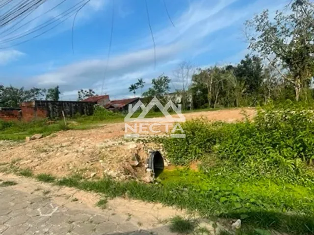 Terreno com 245m², à venda, no bairro Jardim das Gaivotas em Caraguatatuba