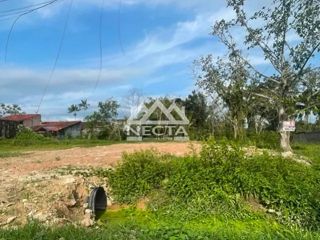 Terreno com 245m², à venda, no bairro Jardim das Gaivotas em Caraguatatuba
