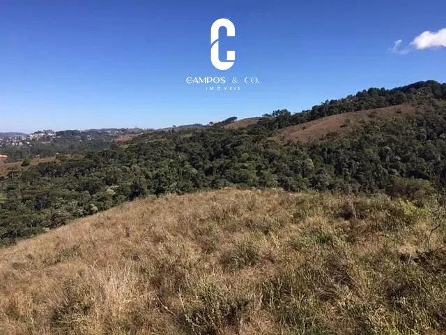 Terreno com 85000m², à venda, no bairro Parque das Aguas Claras em Campos Do Jordão