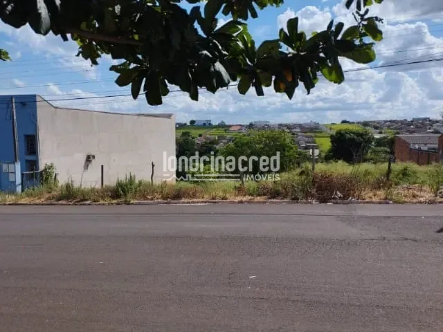 Terreno com 456m², à venda, no bairro Jardim Ana Eliza em Cambé