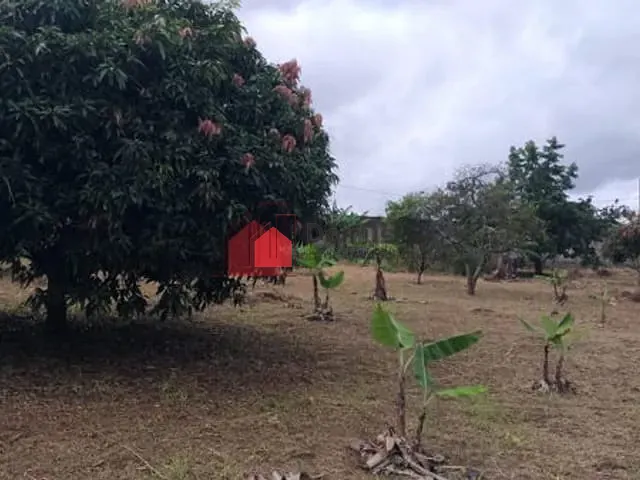 Terreno com 500m², à venda, no bairro Parque Shangrilá em Pindamonhangaba
