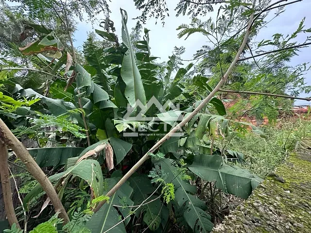 Terreno com 300m², à venda, no bairro Martim de sá em Caraguatatuba