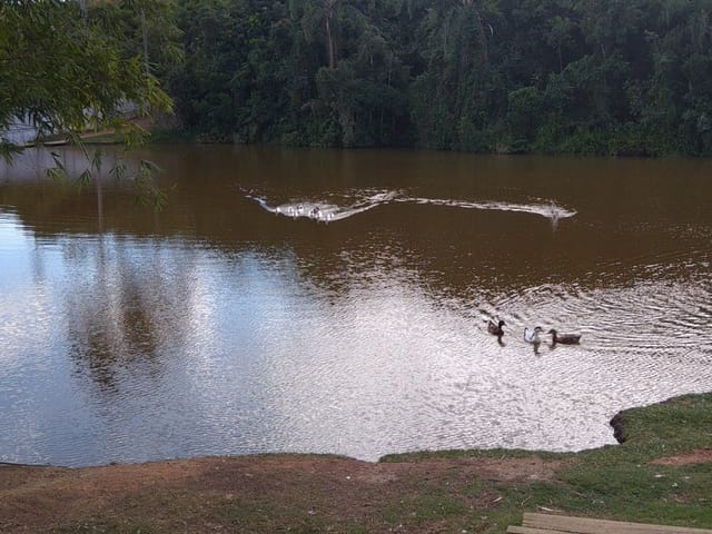 Foto do Terreno - Terreno à venda, 1104 m² por R$ 620.000,00 - Parque Mirante Do Vale - Jacareí/SP | INDEPENDENCE NEGOCIOS IMOBILIARIOS LTDA