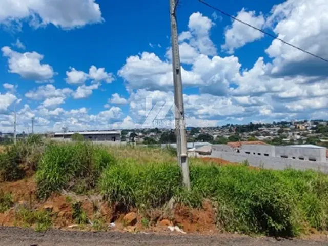 Terreno com 816m², à venda, no bairro Vila Carli em Guarapuava