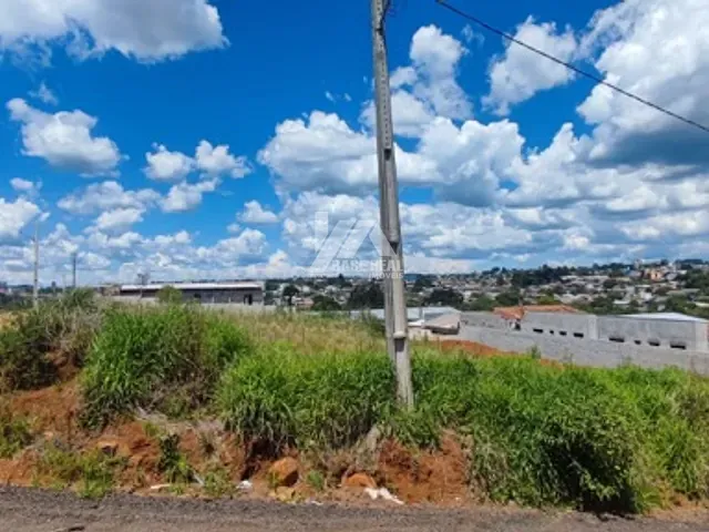 Terreno com 816m², à venda, no bairro Vila Carli em Guarapuava