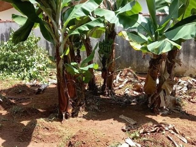 Foto do Terreno - Terreno à venda, 262 m² por R$ 749.000,00 - Bosque dos Eucaliptos - São José dos Campos/SP | INDEPENDENCE NEGOCIOS IMOBILIARIOS LTDA