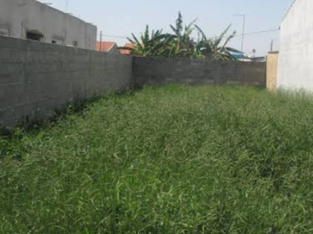 Terreno com 200m², à venda, no bairro Parque das Palmeiras em Pindamonhangaba