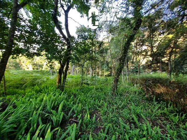 Terreno com 1100m², à venda, no bairro Alto do Capivari em Campos do Jordão
