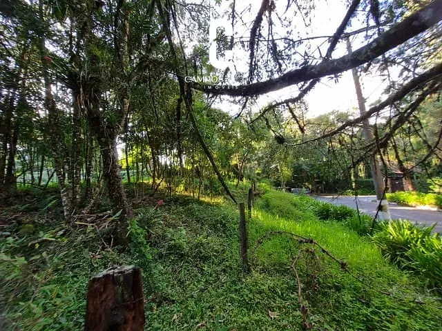 Terreno com 1100m², à venda, no bairro Alto do Capivari em Campos do Jordão